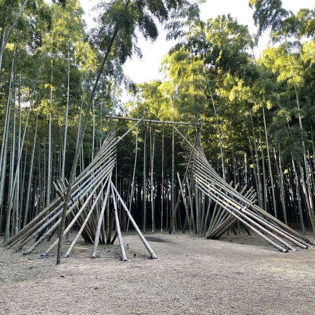 【栃木】幻想的な竹の世界「若竹の社 若山農場」