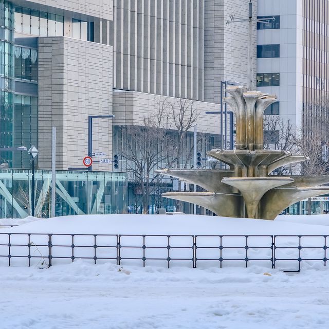 冬の札幌大通り公園の景色