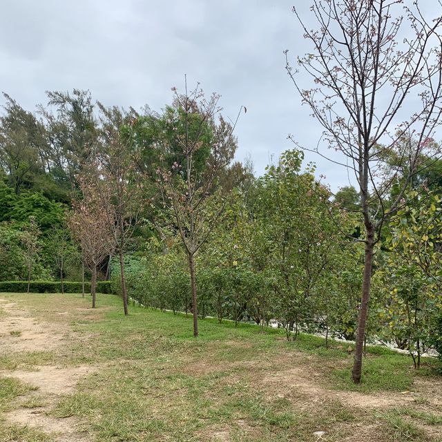 澳門人遊澳門🇲🇴行山健康篇