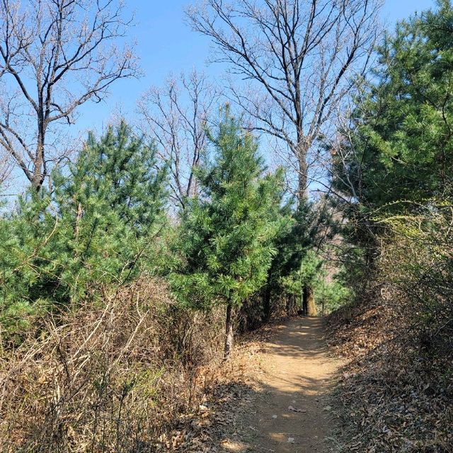 대전여행 계족산 등산 비래사코스