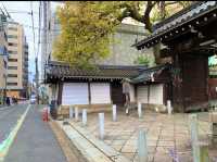 京都　SAKURA 桜めぐり❗️聖徳太子が創建した六角堂の桜に感動❗️