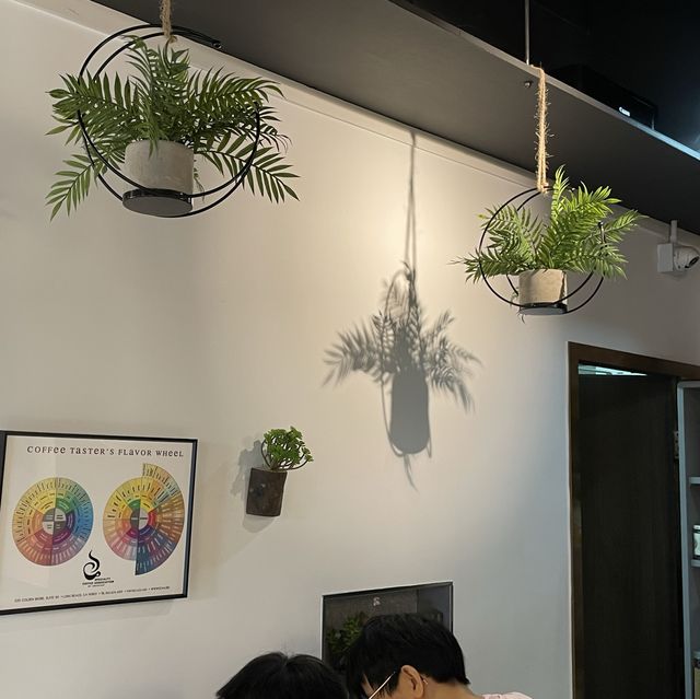 Cafe Zomato Cafe Zomato