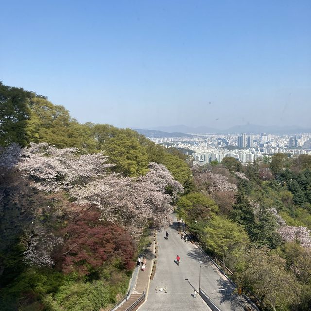 서울 뷰와 함께 아이스크림 즐기기 [N서울타워]