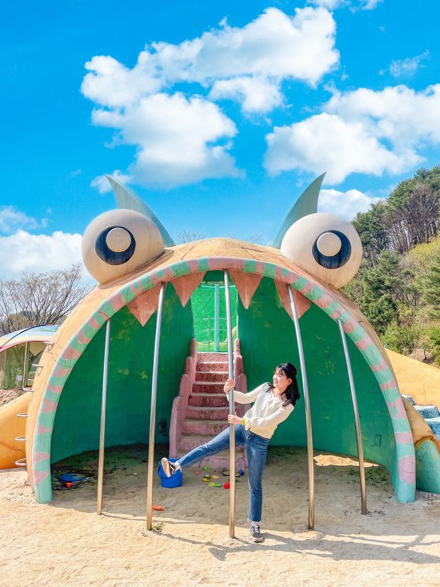 강원도 양구 가볼만한곳 총정리🤩💛
