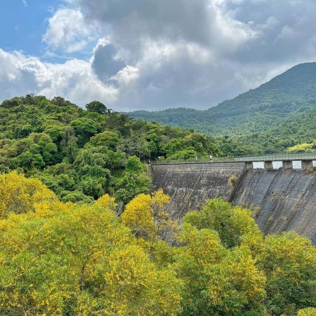 2個鐘輕鬆行河背水塘+港版迷你嵐山竹林隧道！