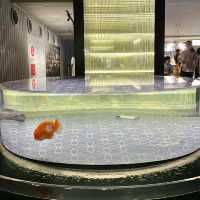 カメラ必須のすみだ水族館