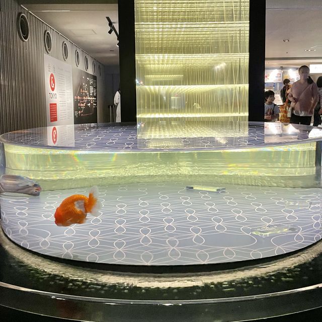 カメラ必須のすみだ水族館
