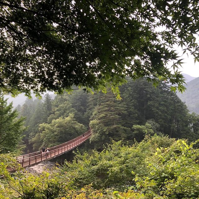 東京郊遊好去處➡️秋川溪谷🤩🤩