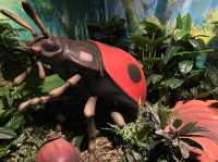 カブトムシを触れるコーナーまで！【ファーブル昆虫展】②