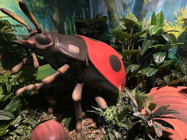 カブトムシを触れるコーナーまで！【ファーブル昆虫展】②