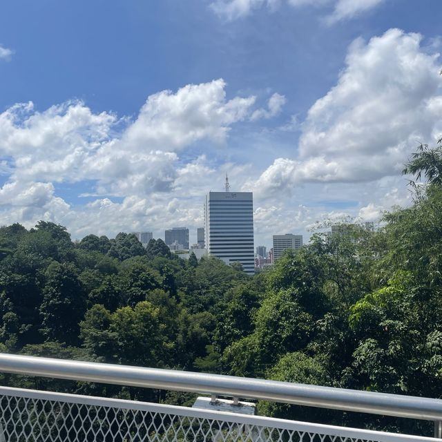 views from Henderson waves 