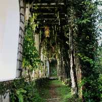 Visit the home of the Vietnamese Last Emperor