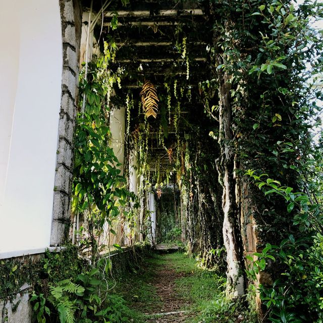 Visit the home of the Vietnamese Last Emperor
