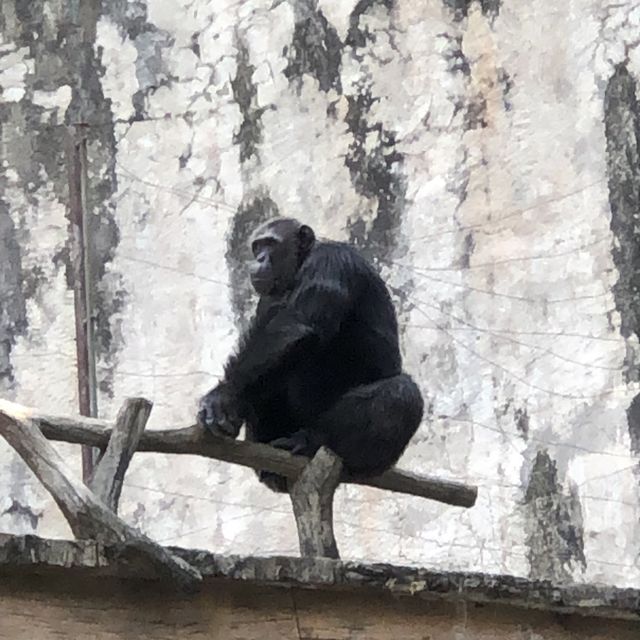 เขาเขียว