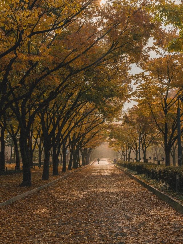 인천에서 가을하면 이곳! ’인천대공원‘