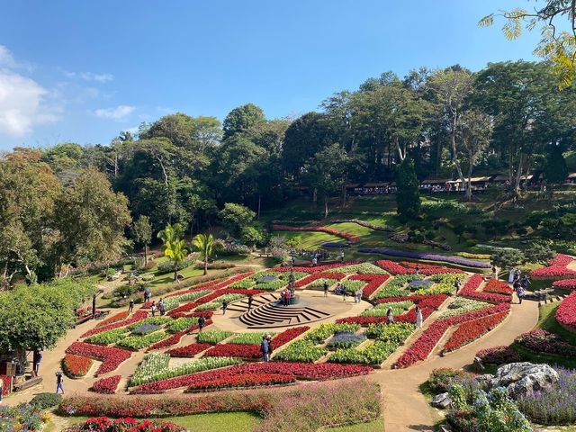 สวนแม่ฟ้าหลวง ดอยตุง เชียงราย
