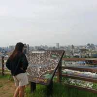 Wansan Park  (full of flower)