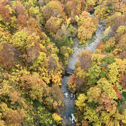【青森】ちょうど見頃で美しい紅葉スポット
