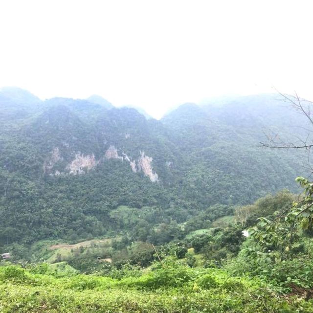 ดอยอ่างขาง