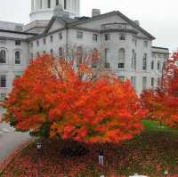 Autumn in Augusta