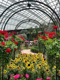 Admiring Nature’s Beauty inside Flower Dome