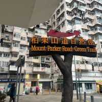 三山勁走✌️✌️✌️💪💪柏架山，畢拿山，渣甸山