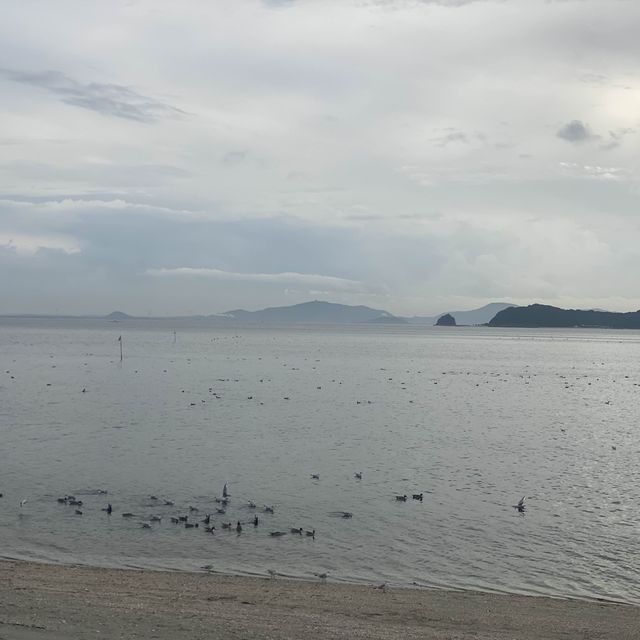 日本神秘小島 竹島
