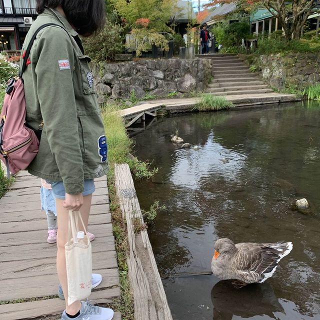 湯布院 由布院