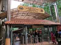 Taiping Zoo, Perak 🐾✨