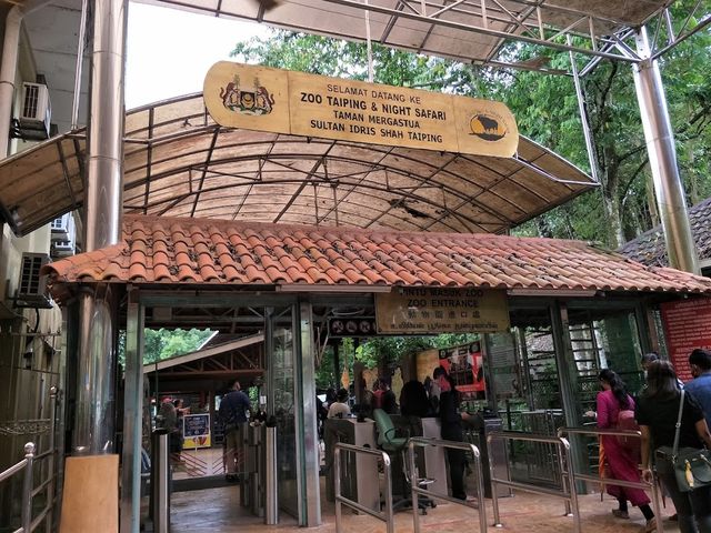 Taiping Zoo, Perak 🐾✨