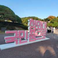[서울여행] 청와대 - 국민품으로