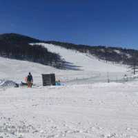 skiing in asama komoro
