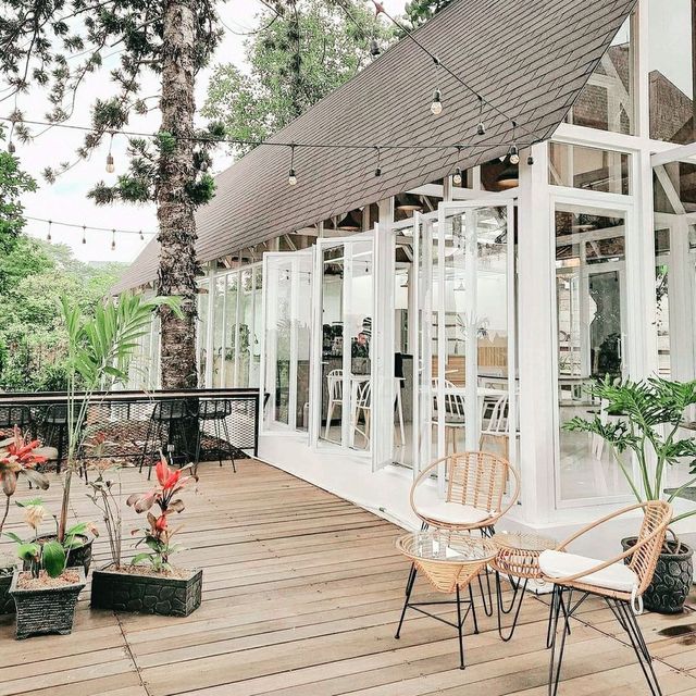 Edelweis Caffe, Shanghai