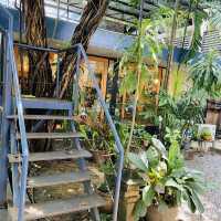 Chico cafe ร้านคาเฟ่แมวย่านทองหล่อ