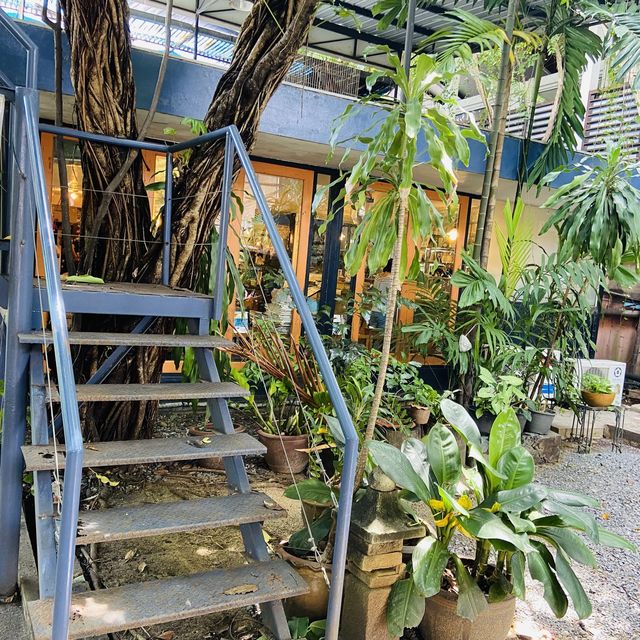 Chico cafe ร้านคาเฟ่แมวย่านทองหล่อ