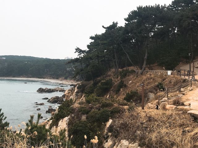 울산 대왕암바위