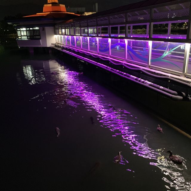 [🇰🇷, 창원] 야경 맛집이자 산책하기 좋은, 창원 용지호수 🌃