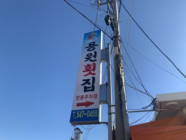 [🇰🇷, 창원] 겨울 특별 보양식 대구탕 맛집, 진해 용원횟집 🐟
