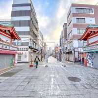 雪の朝の伝法院通り