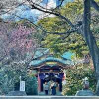 芝東照宮の梅