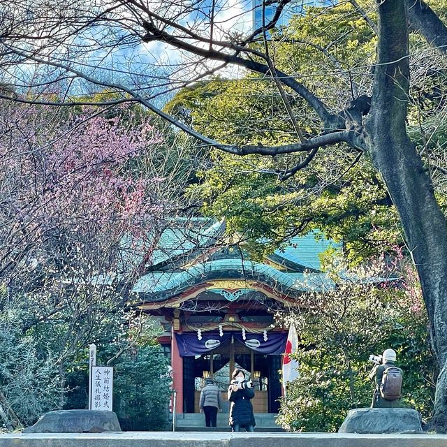 芝東照宮の梅