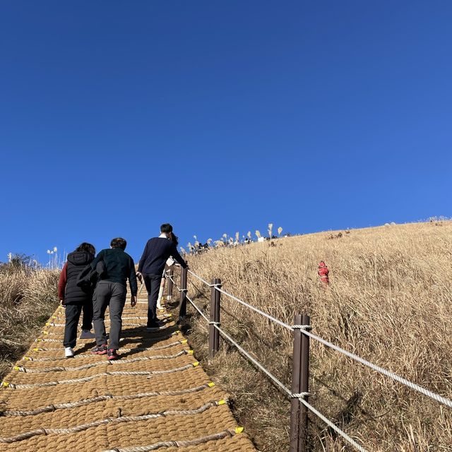 제주도 최고 오름 '새별오름'