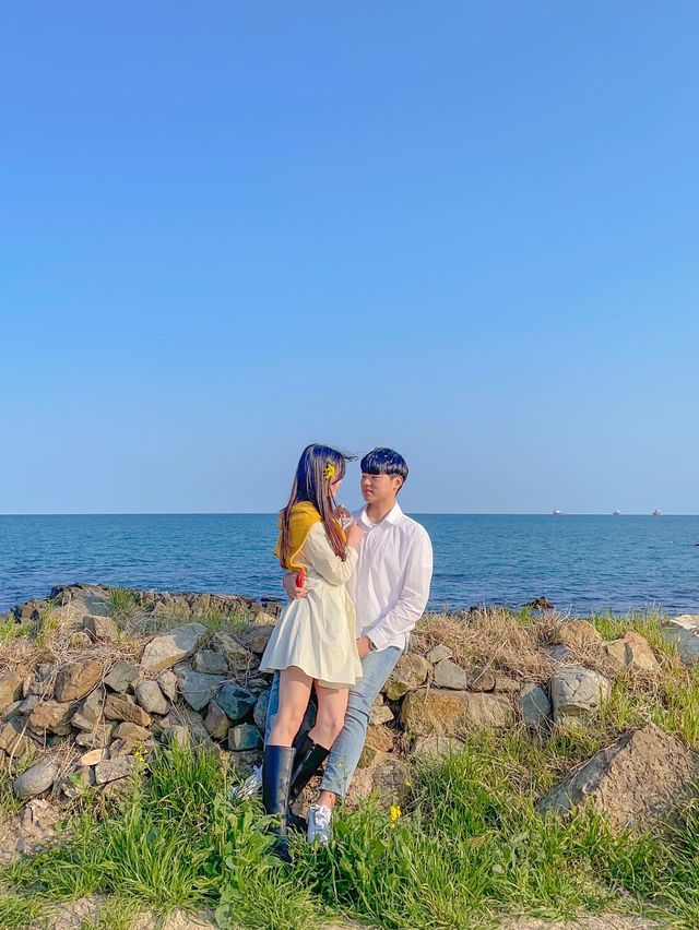 바다가 보이는 넓은 유채꽃밭, 울산 슬도에서 두 마리 토끼잡기