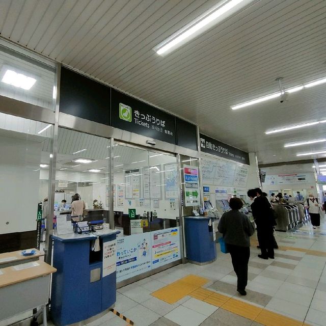 【兵庫県 明石市】季節の花咲く明石駅🌸🌸🌸