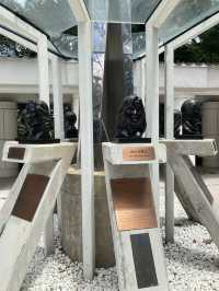 【市區散步好去處】香港公園｜欣賞小龜曬太陽。穿過大瀑布。登上鳥瞰角觀景台｜2小時散步路線