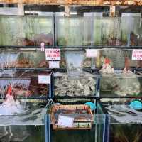 邱家生魚片