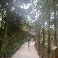Lung cột cầu