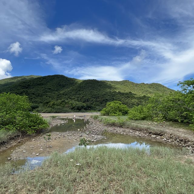 香港唯一有自然環境掩護嘅潮間帶泥灘 香港唯一有自然環境掩護嘅潮間帶泥灘