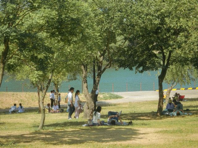 화창한 날의 피크닉 명소, 양화한강공원!