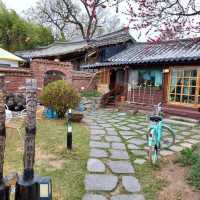Exploring Gyeongju Kyochon Hanok